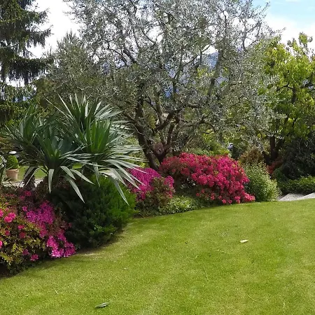 Apartment Vittoria *