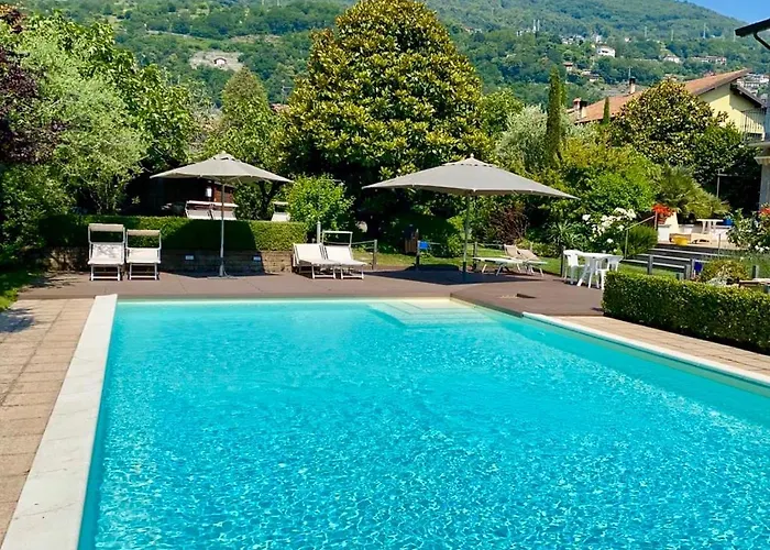 Vittoria * ドンゴ