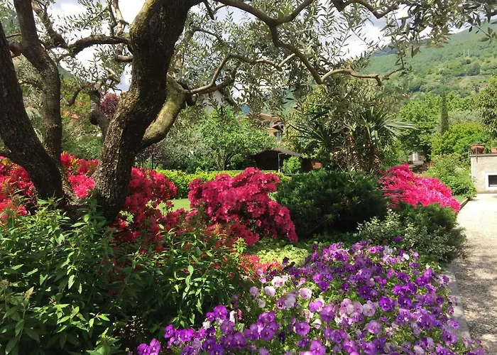 アパート Vittoria *