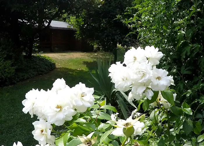 Vittoria Apartamento Dongo