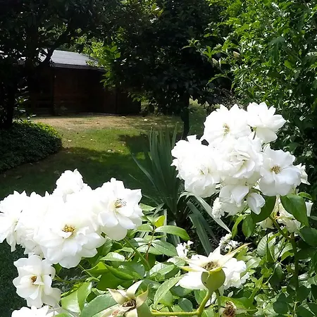 Vittoria Apartment Dongo